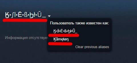 Имя для стима cs go